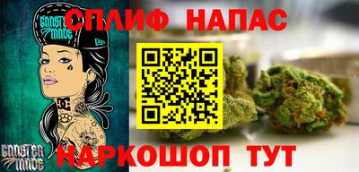 индика Нягань