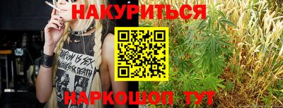шишки Обнинск
