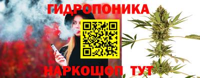 шишки Обнинск
