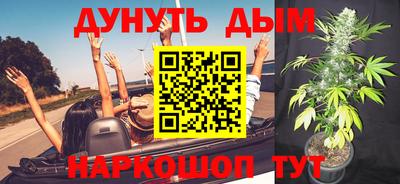 индика Нягань