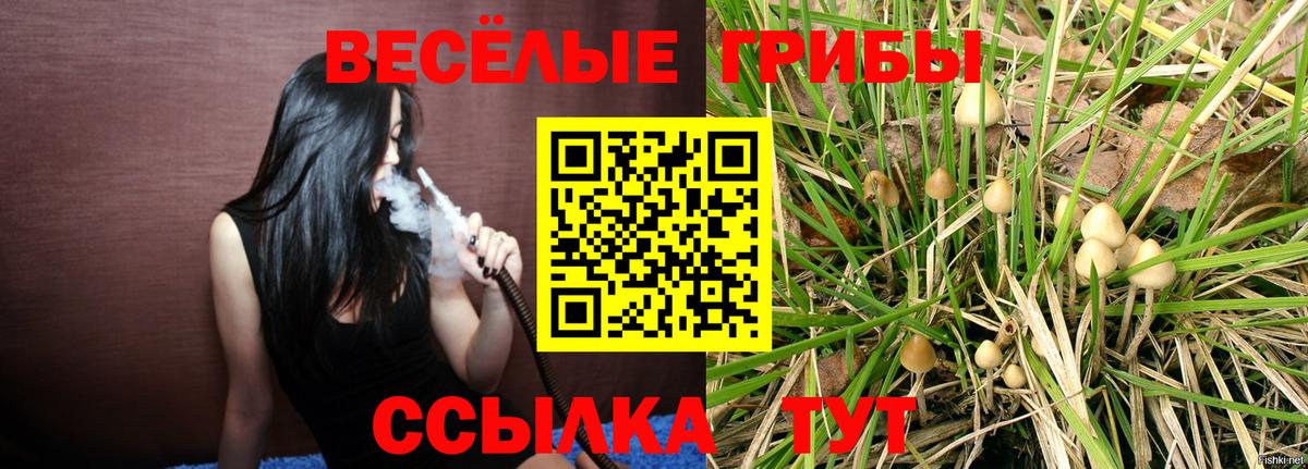 Галлюциногенные грибы ЛСД  Псилоцибиновые грибы Psilocybe  магазин продажи   Тара  Вход с VPN 